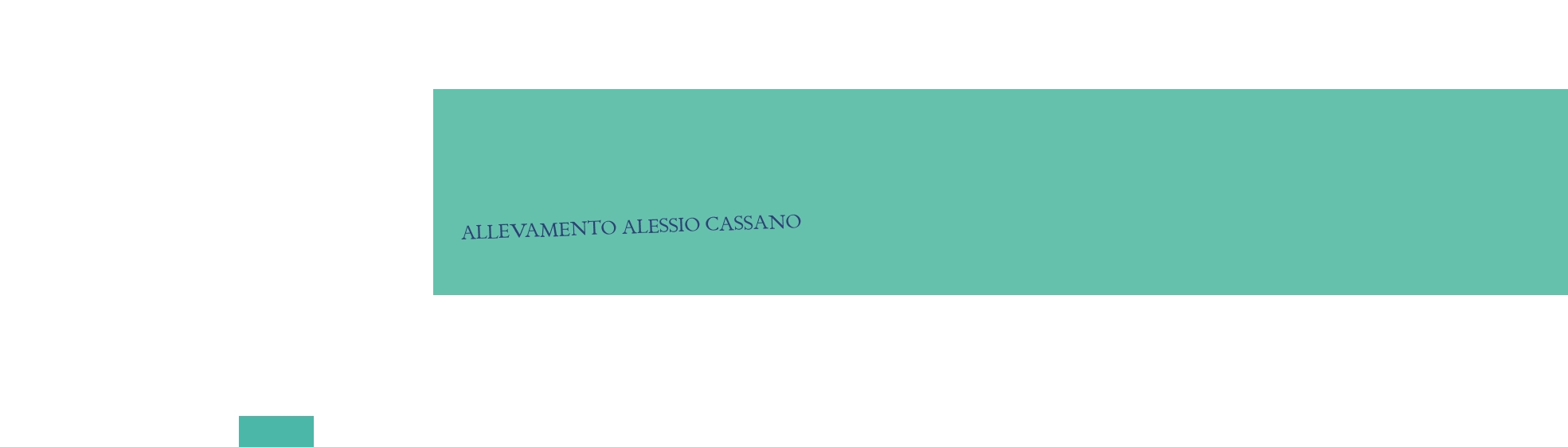 logo Allevamento Alessio Cassano