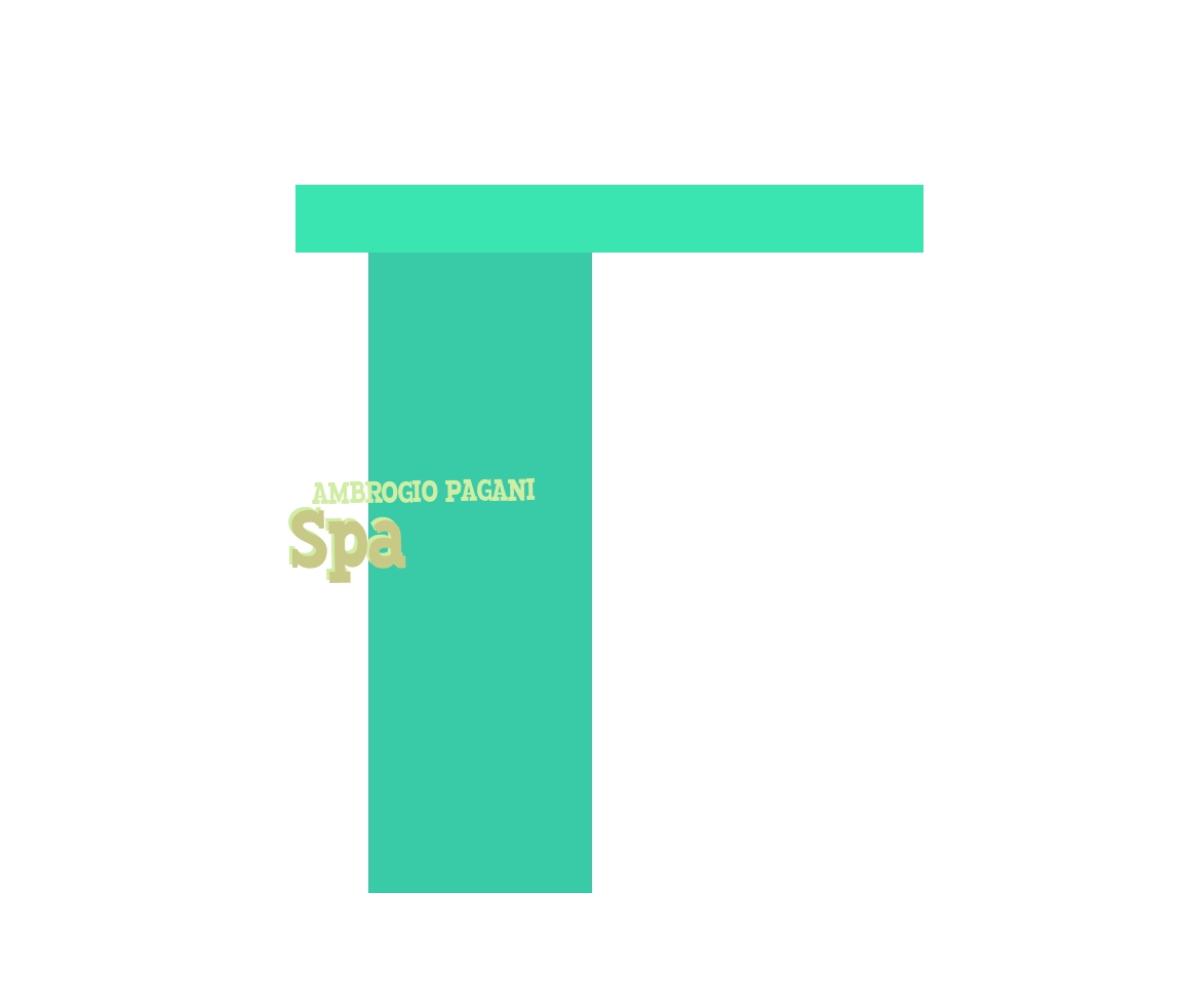 Ambrogio Pagani SpA