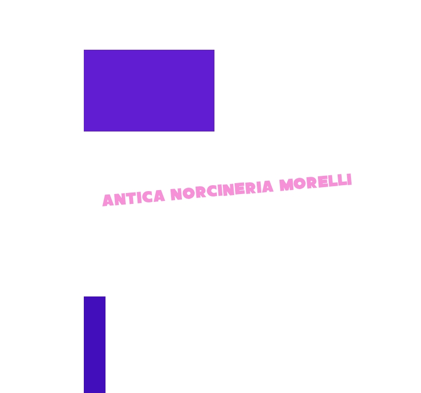 logo Antica Norcineria Morelli