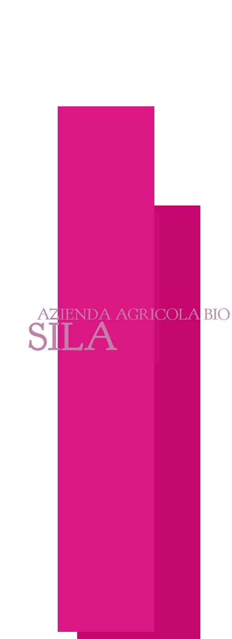 logo Azienda Agricola Bio Sila