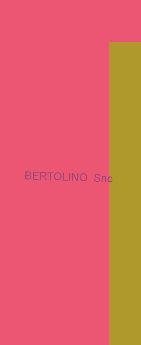 Bertolino Snc