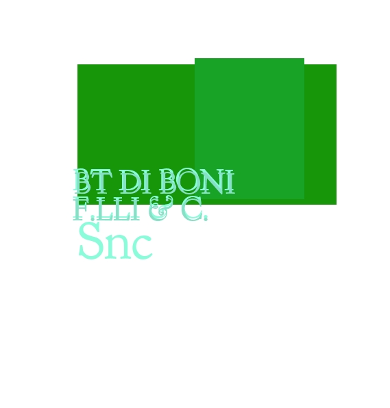 Bt di Boni F.lli & C. Snc