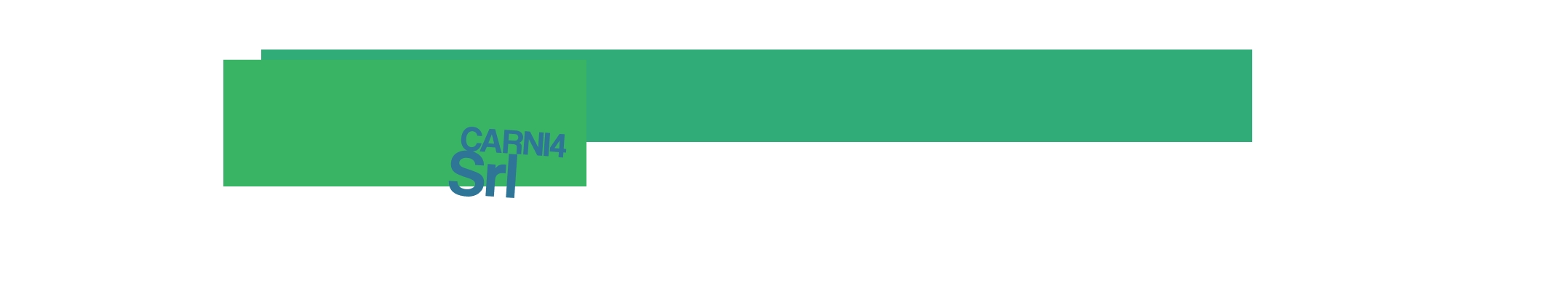Carni4 Srl