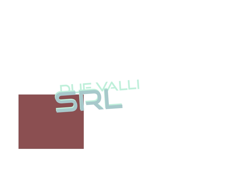 logo Due Valli Srl
