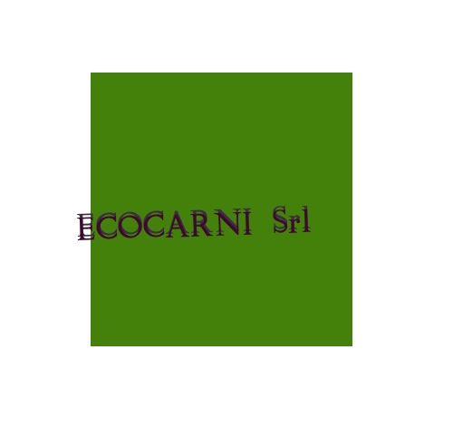 logo Ecocarni Srl