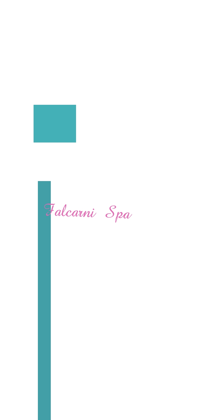 logo Falcarni SpA