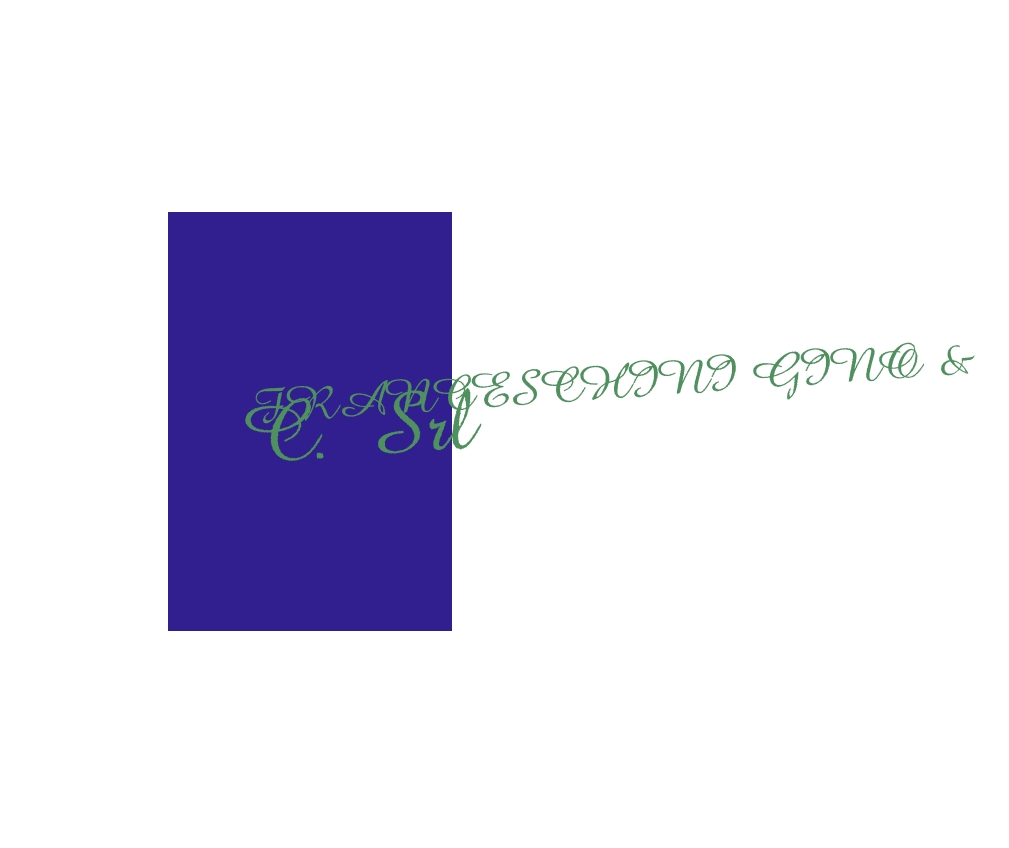 Franceschini Gino & C. Srl