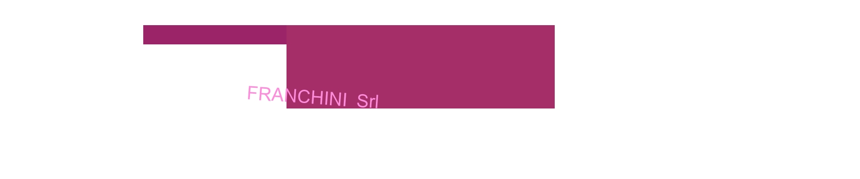 Franchini Srl