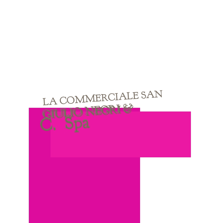 logo La Commerciale San Giulio Negri & C. SpA