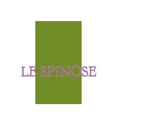 logo Le Spinose