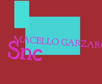 logo Macello Garzaro Snc