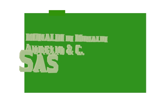 Monaldi di Monaldi Aurelio & C. Sas