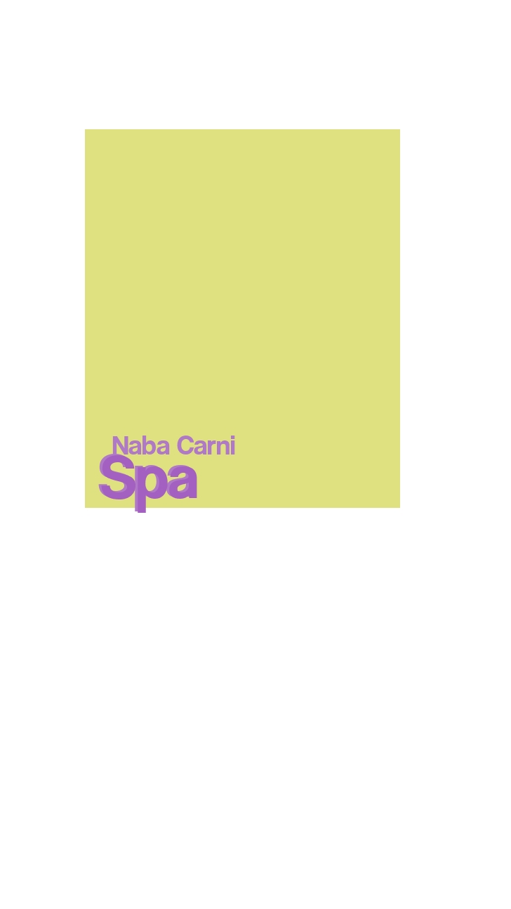 logo Naba Carni SpA