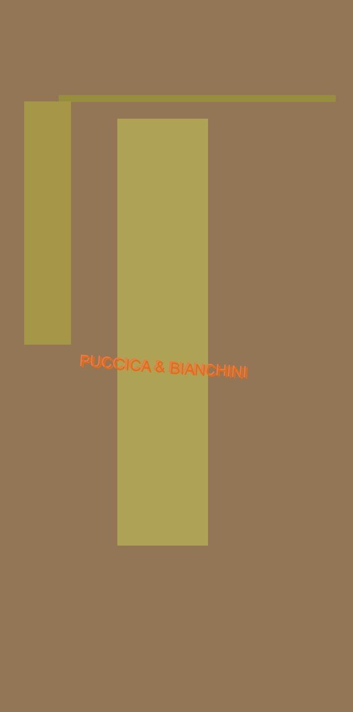 logo Puccica & Bianchini