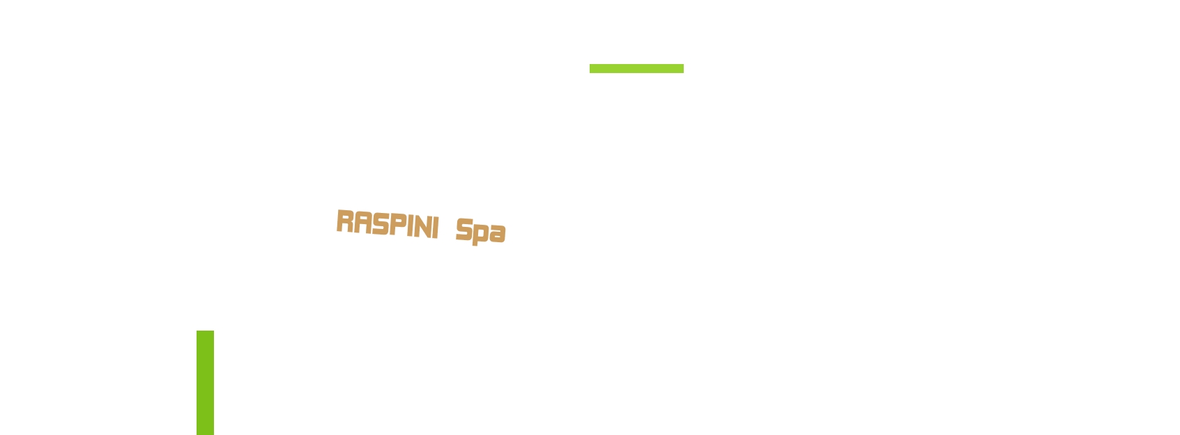 logo Raspini SpA