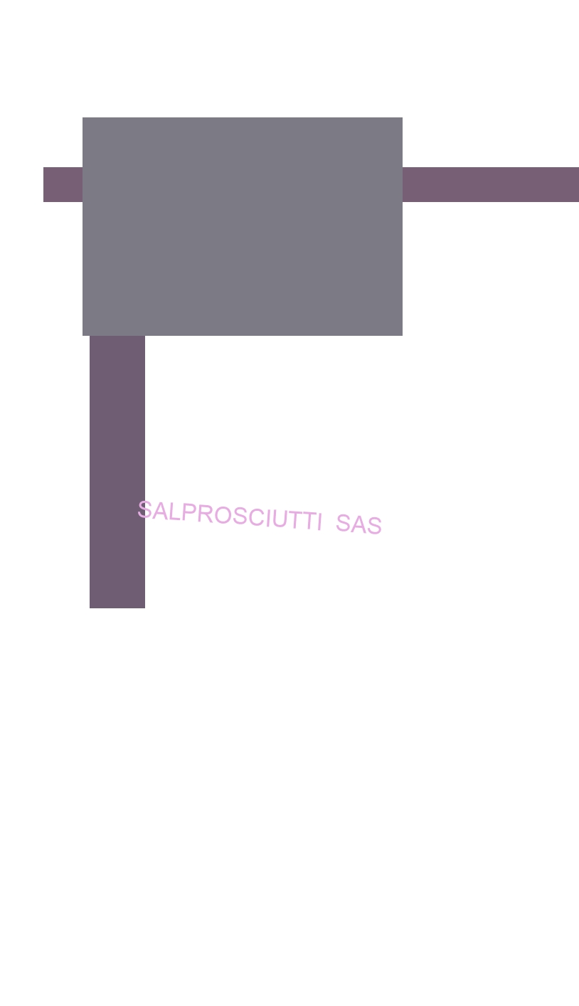 logo Salprosciutti Sas