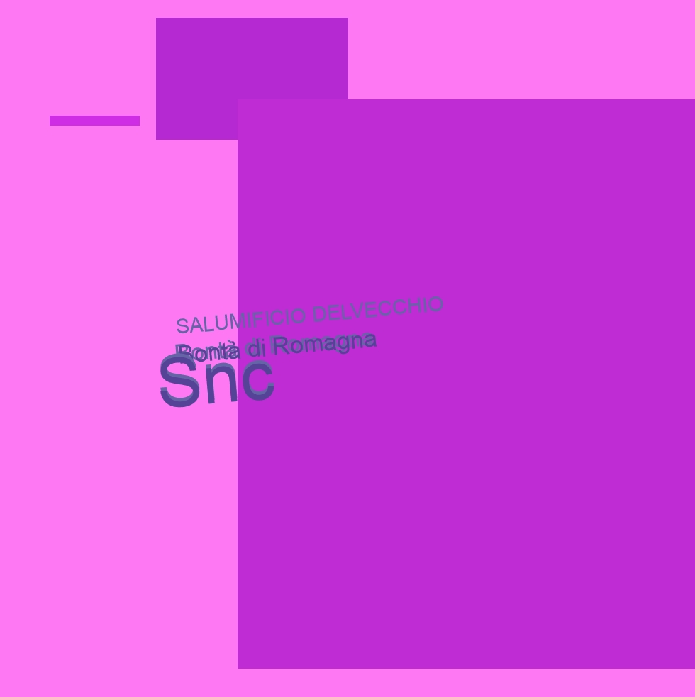 SALUMIFICIO DELVECCHIO Bontà di Romagna Snc