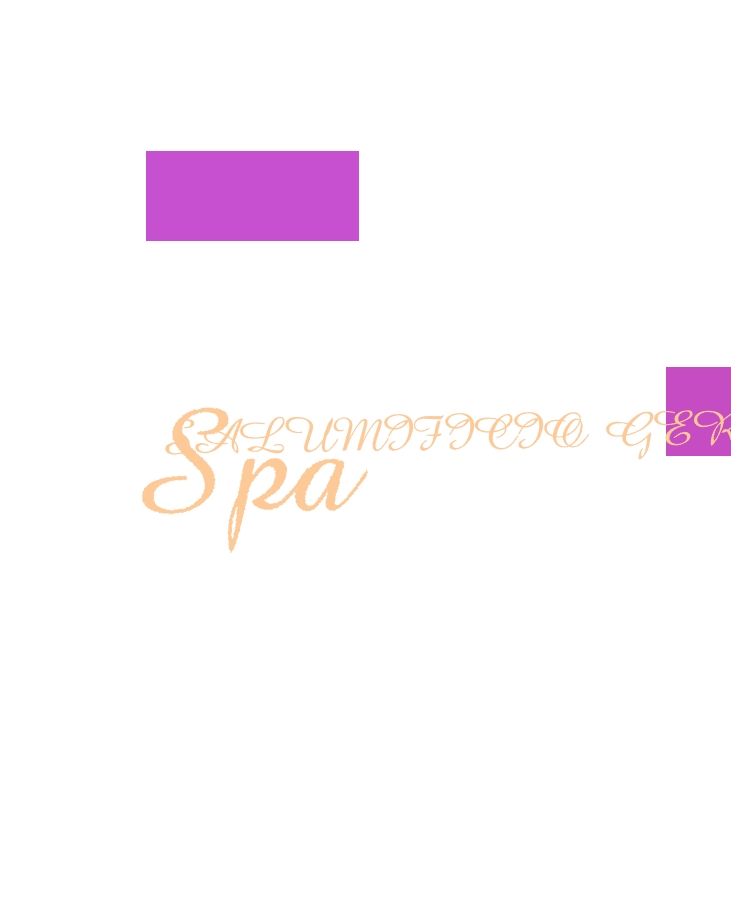 Salumificio Gerini SpA