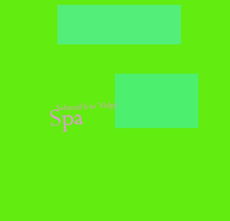 Salumificio Volpi SpA