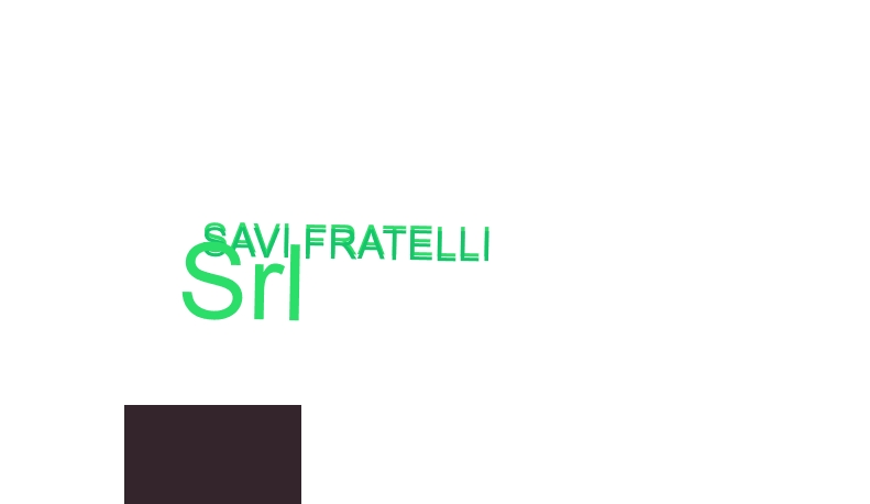 Savi Fratelli Srl
