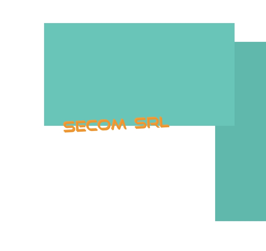 Secom Srl