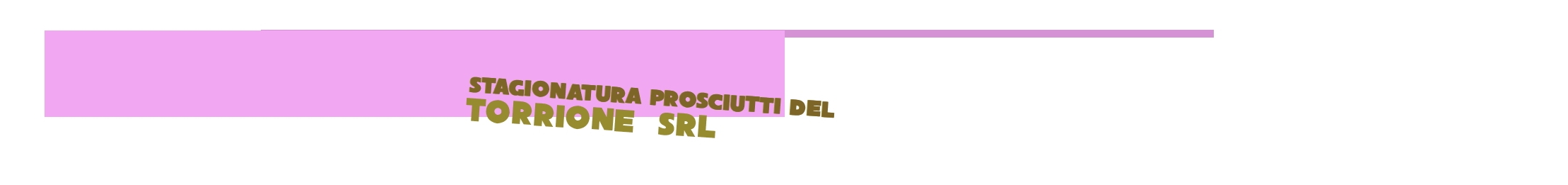 Stagionatura Prosciutti Del Torrione Srl