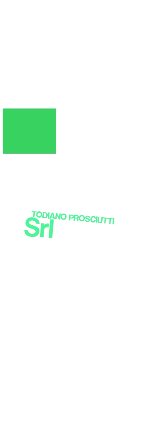 logo Todiano Prosciutti Srl