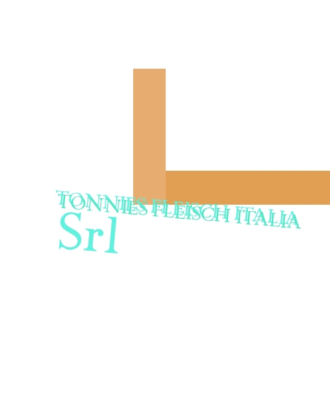 logo Tonnies Fleisch Italia Srl