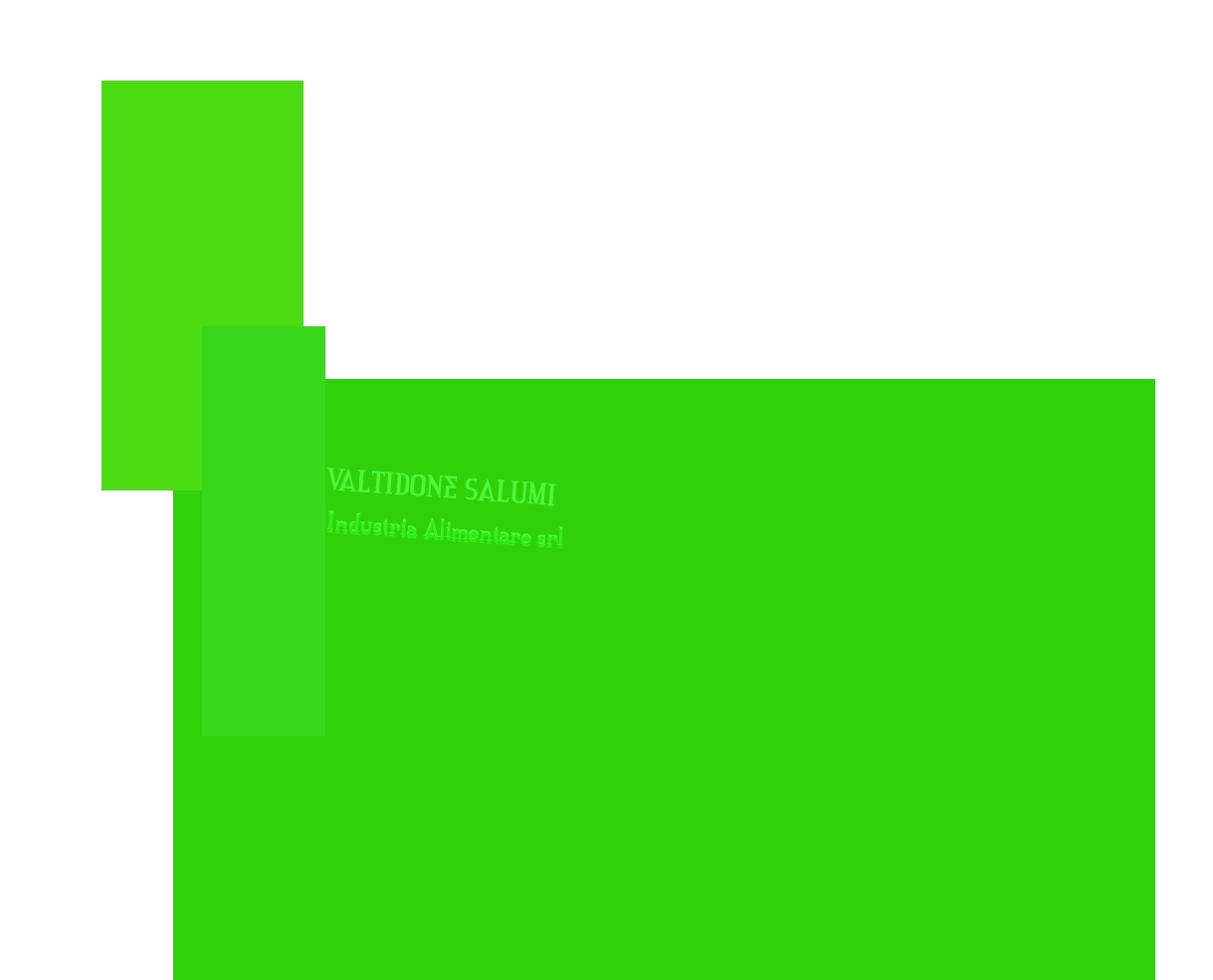 VALTIDONE SALUMI Industria Alimentare srl