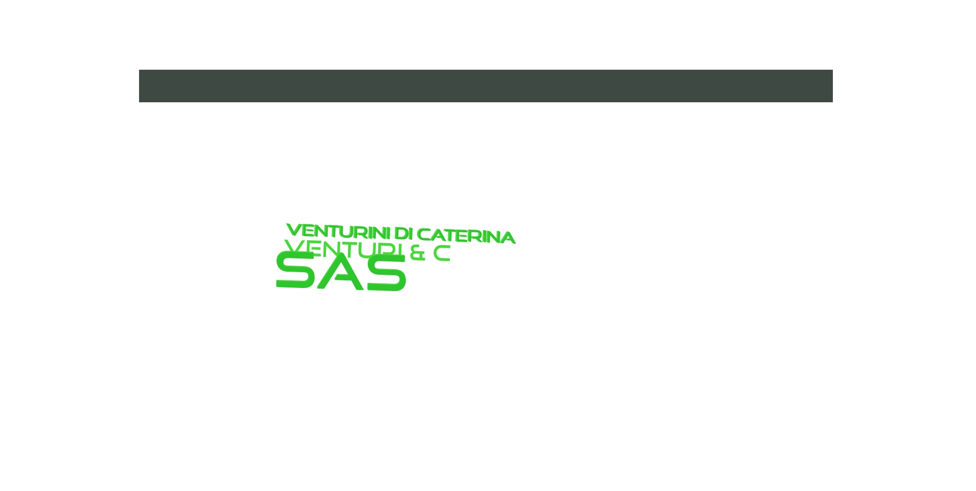 logo Venturini di Caterina Venturi & C Sas