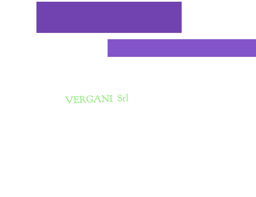 Vergani Srl