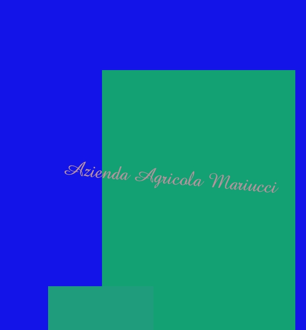 Azienda Agricola Mariucci