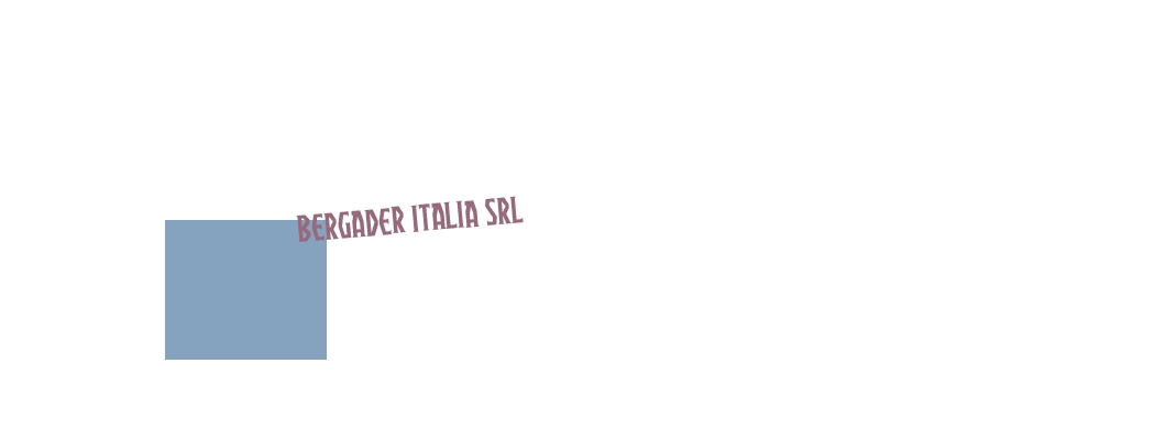 Bergader Italia Srl Bergader Italia Srl