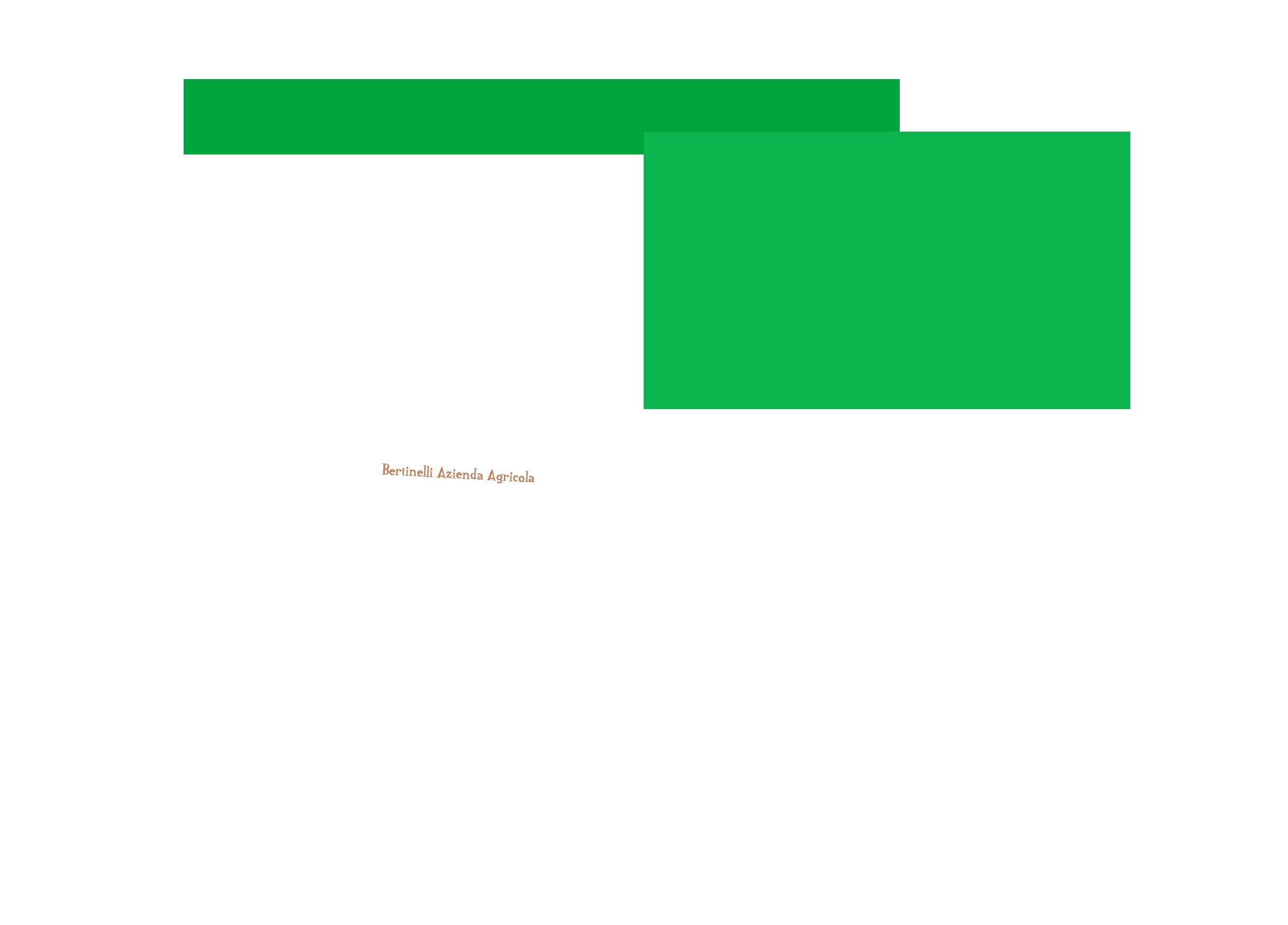 Bertinelli Azienda Agricola