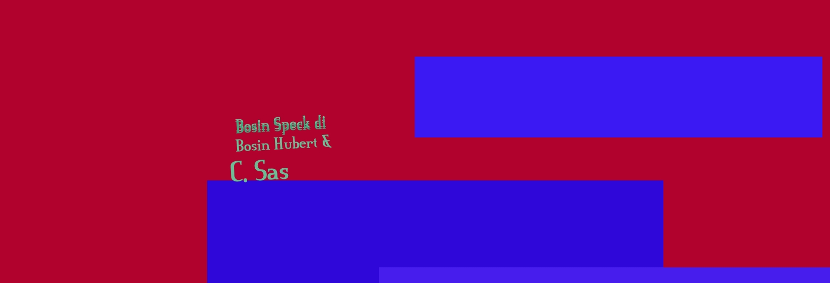 Bosin Speck di Bosin Hubert & C. Sas