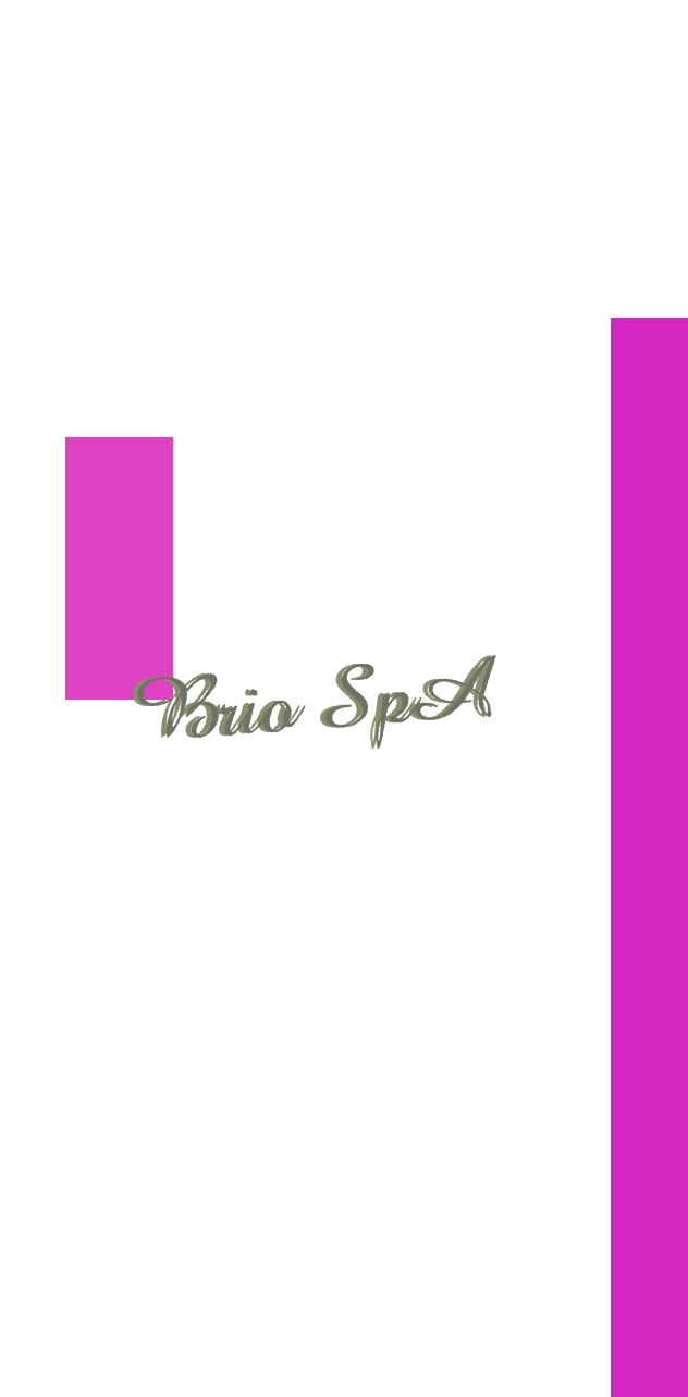 Brio SpA