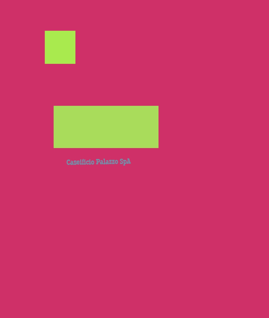 Caseificio Palazzo SpA