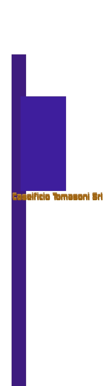 Caseificio Tomasoni Srl