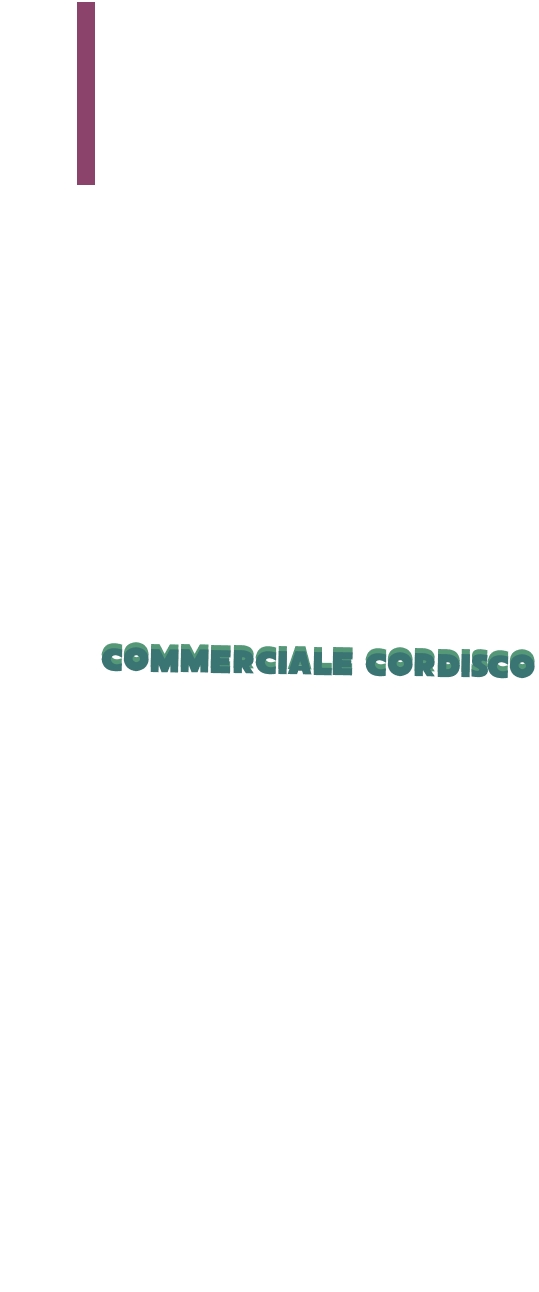 logo Commerciale Cordisco Srl