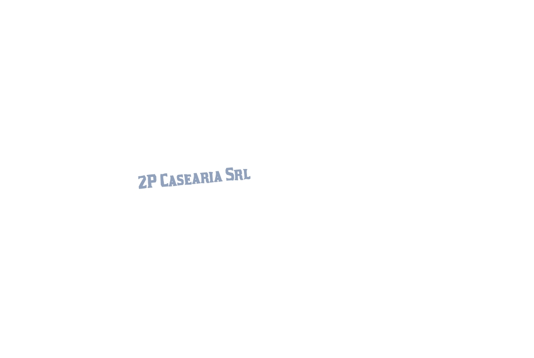 2P Casearia Srl