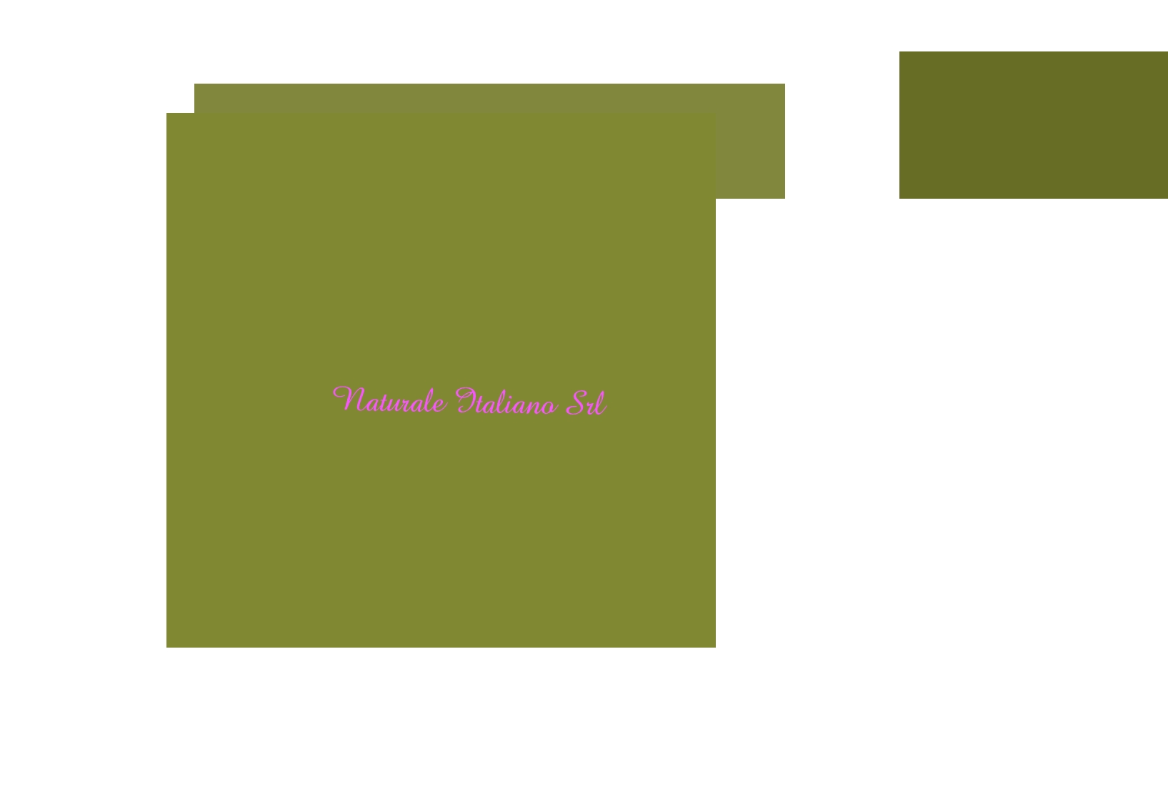 Naturale Italiano Srl Naturale Italiano Srl