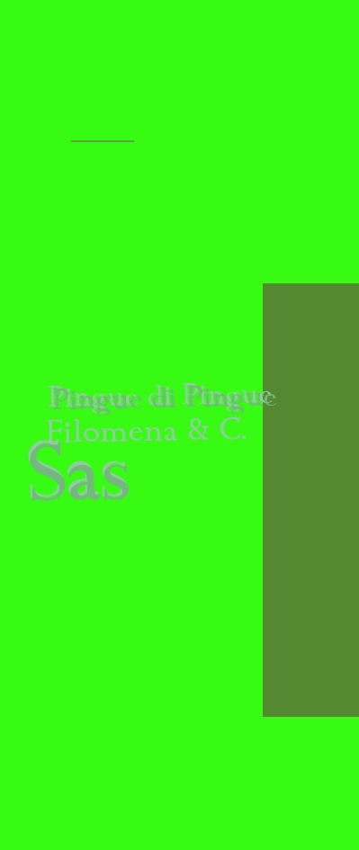 Pingue di Pingue Filomena & C. Sas