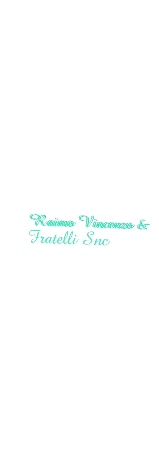 Raimo Vincenzo & Fratelli Snc