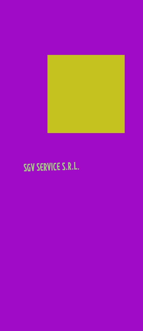SGV Service S.r.l. SGV Service S.r.l.