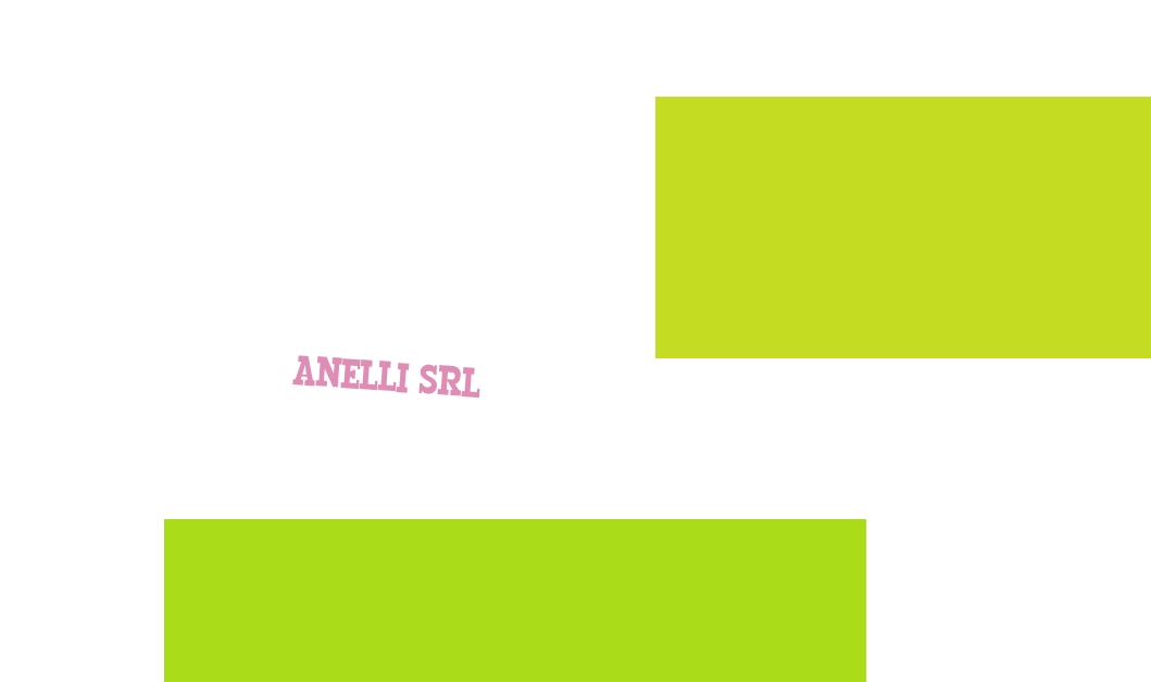 Anelli Srl