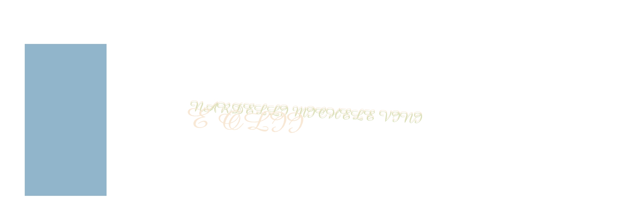 Nardelli Michele Vini e Olii