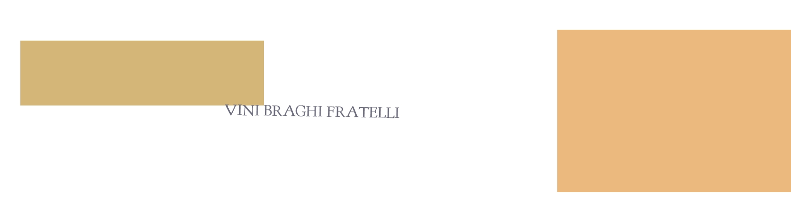 logo Vini Braghi Fratelli