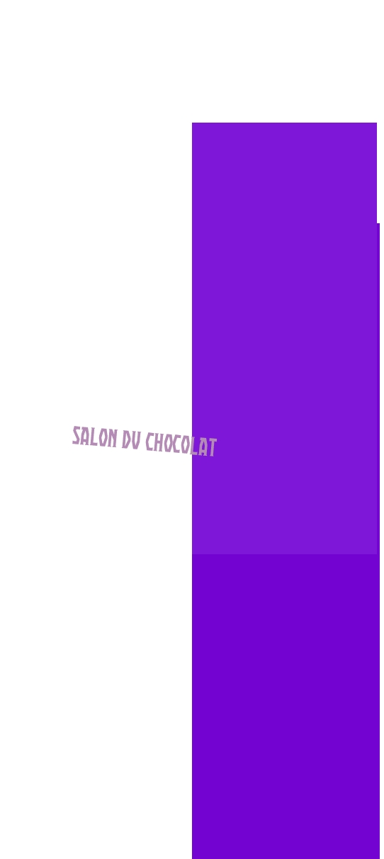 logo Salon Du Chocolat