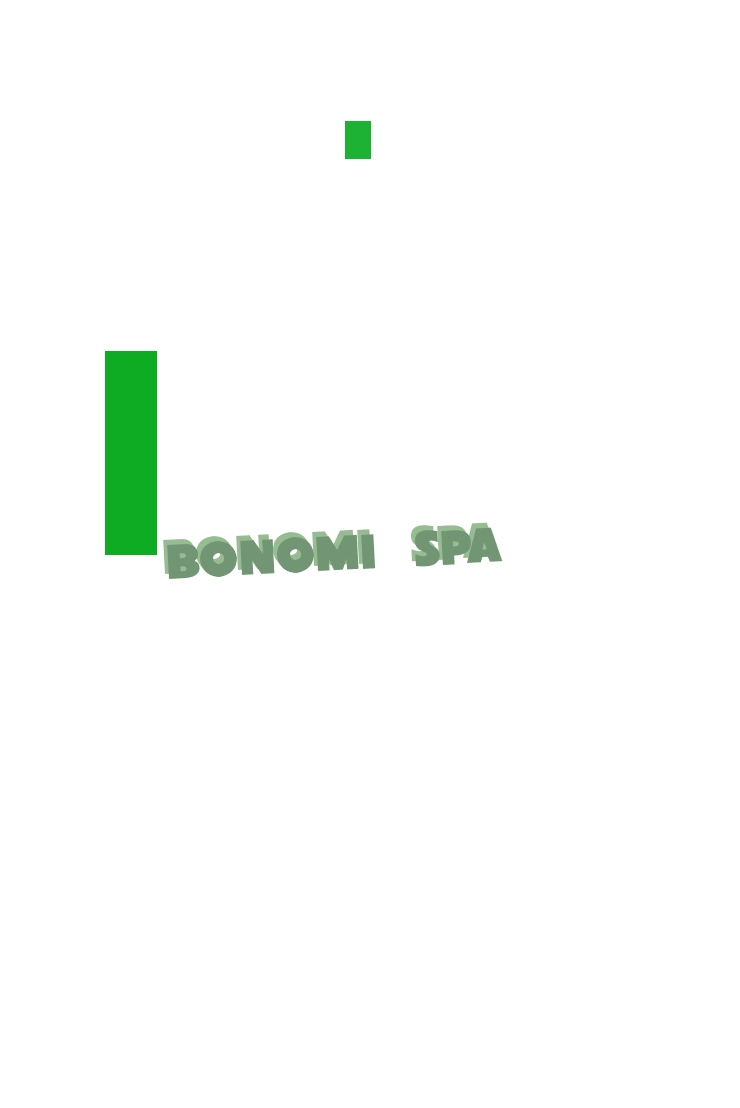 logo Bonomi SpA