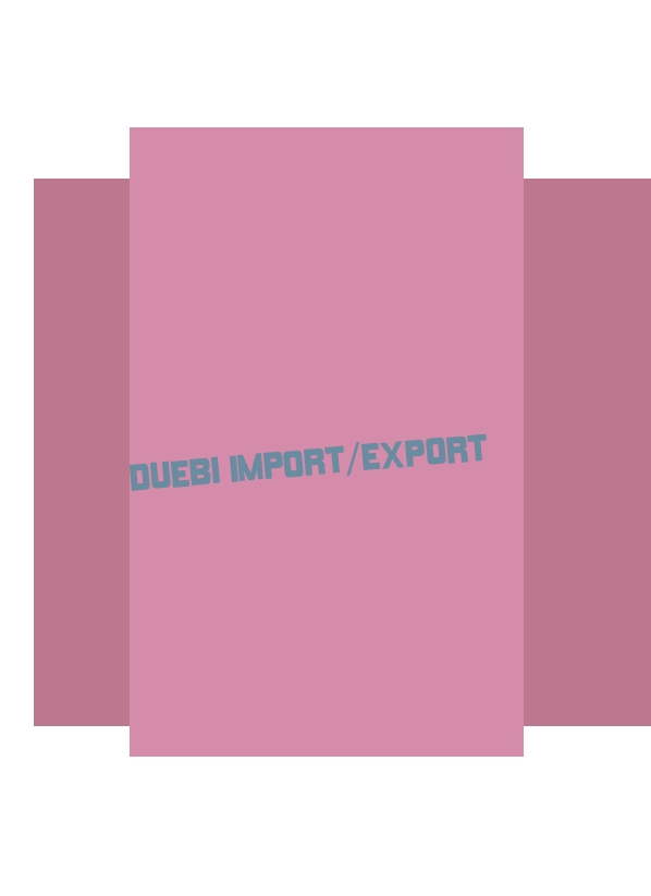 logo Duebi Import/Export